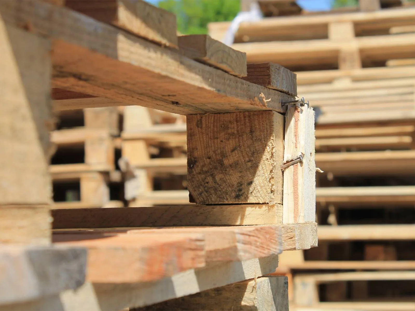 Lire la suite à propos de l’article Entreprise spécialisé dans le recyclage de palette bois dans le Var