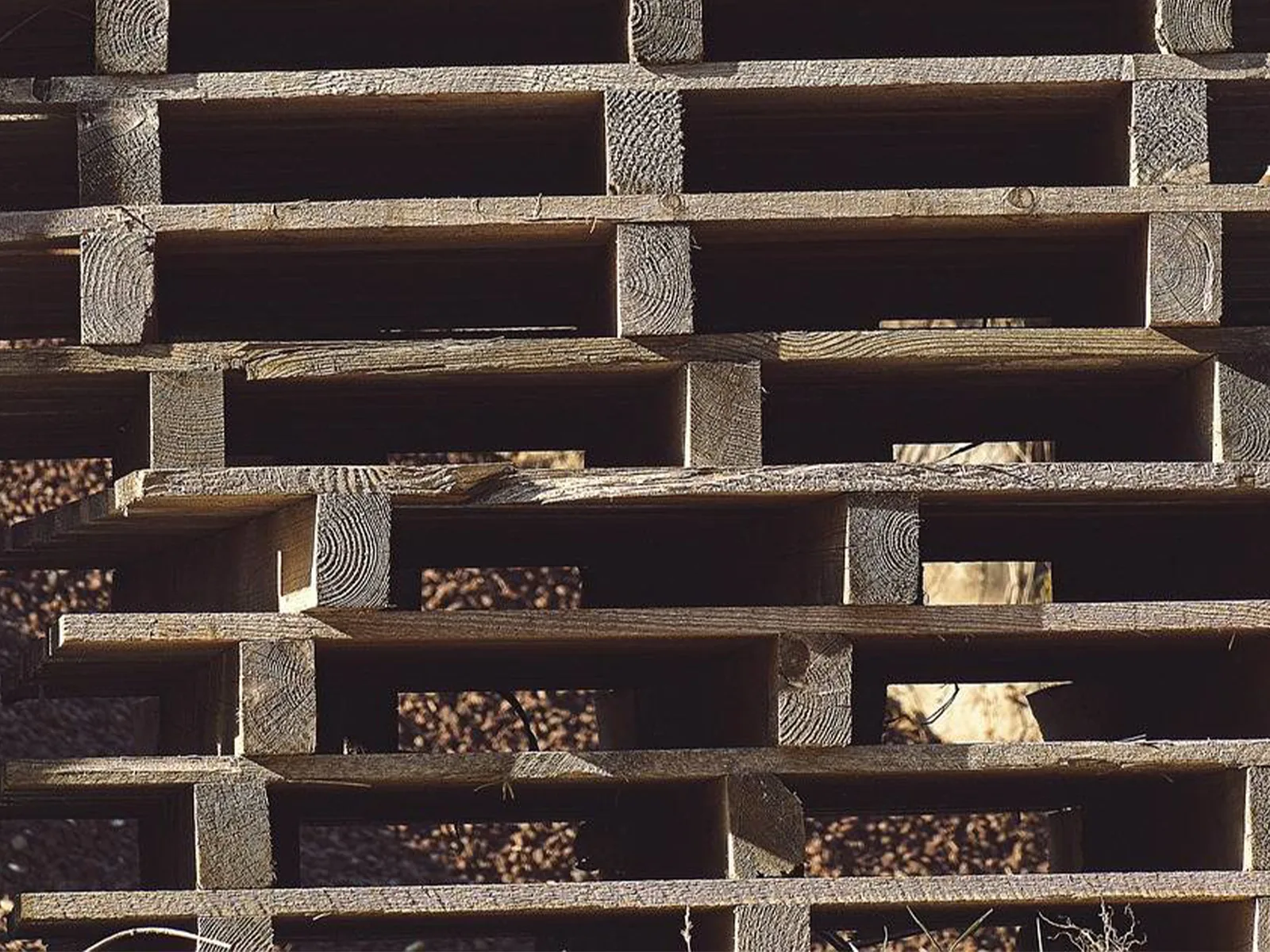 Lire la suite à propos de l’article Palettes recyclées pour plates-formes logistiques un atout logistique et écologique dans le Var