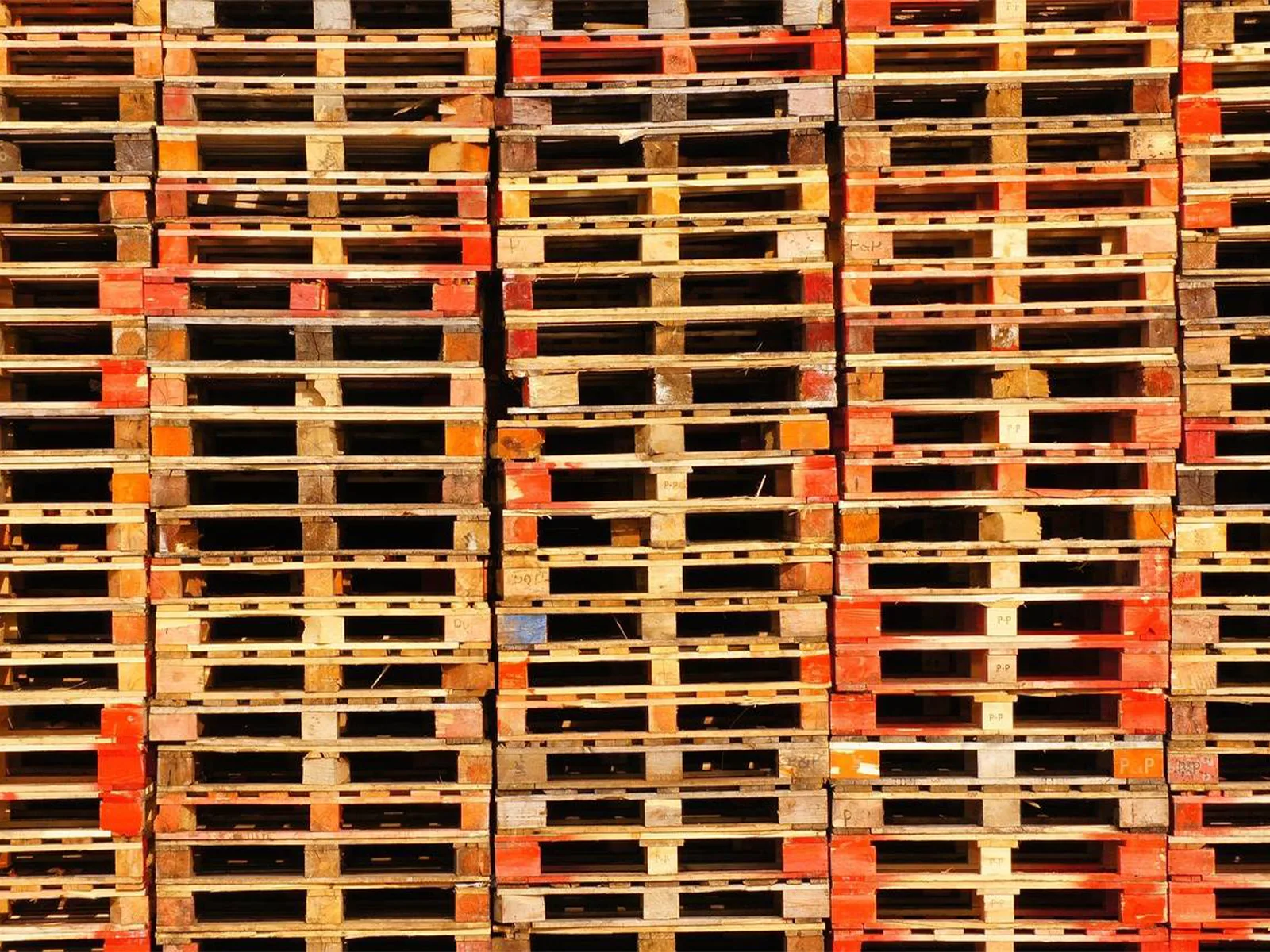 Lire la suite à propos de l’article Des palettes adaptées aux centres de tri : robustesse et praticité avec Europalettes Sud