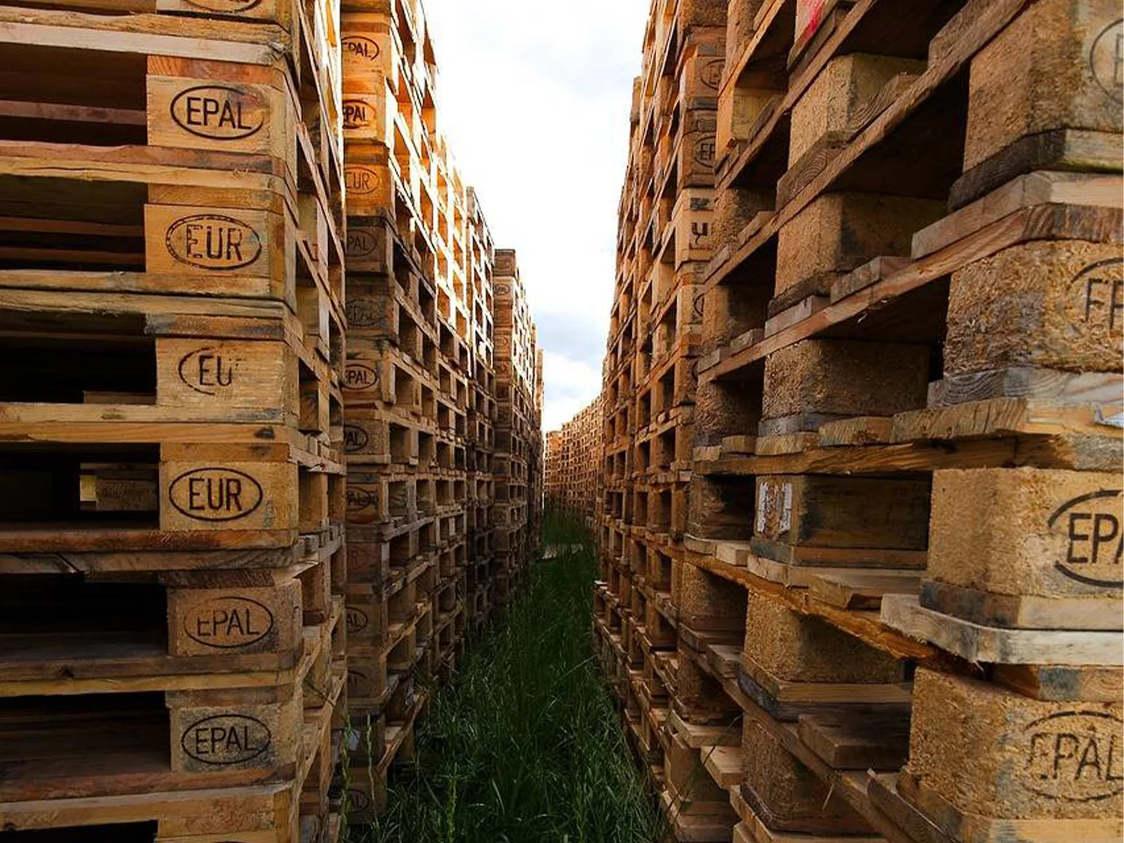 Lire la suite à propos de l’article Fournisseur de palettes pour les transporteurs fiabilité et disponibilité avec Europalettes Sud